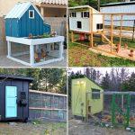 DIY Chicken Run Plans to Build