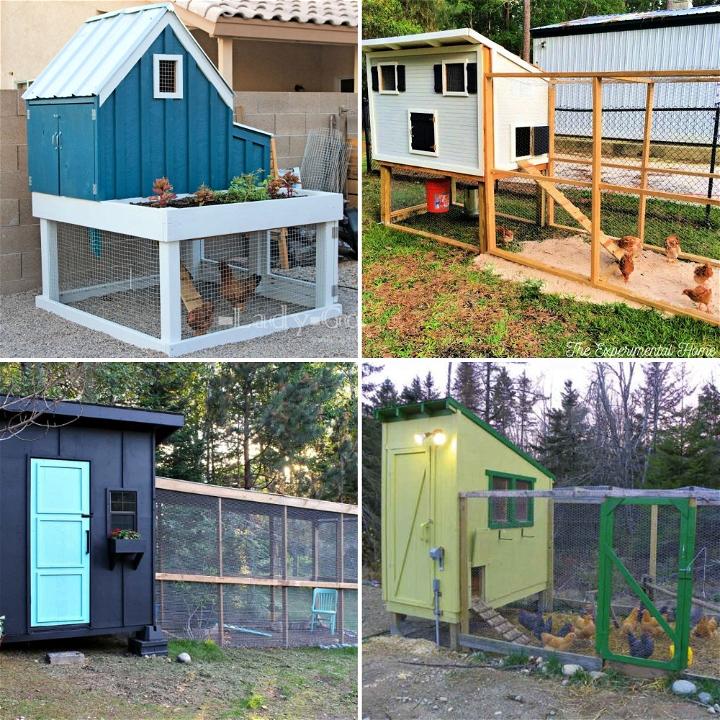 chicken run plans to build