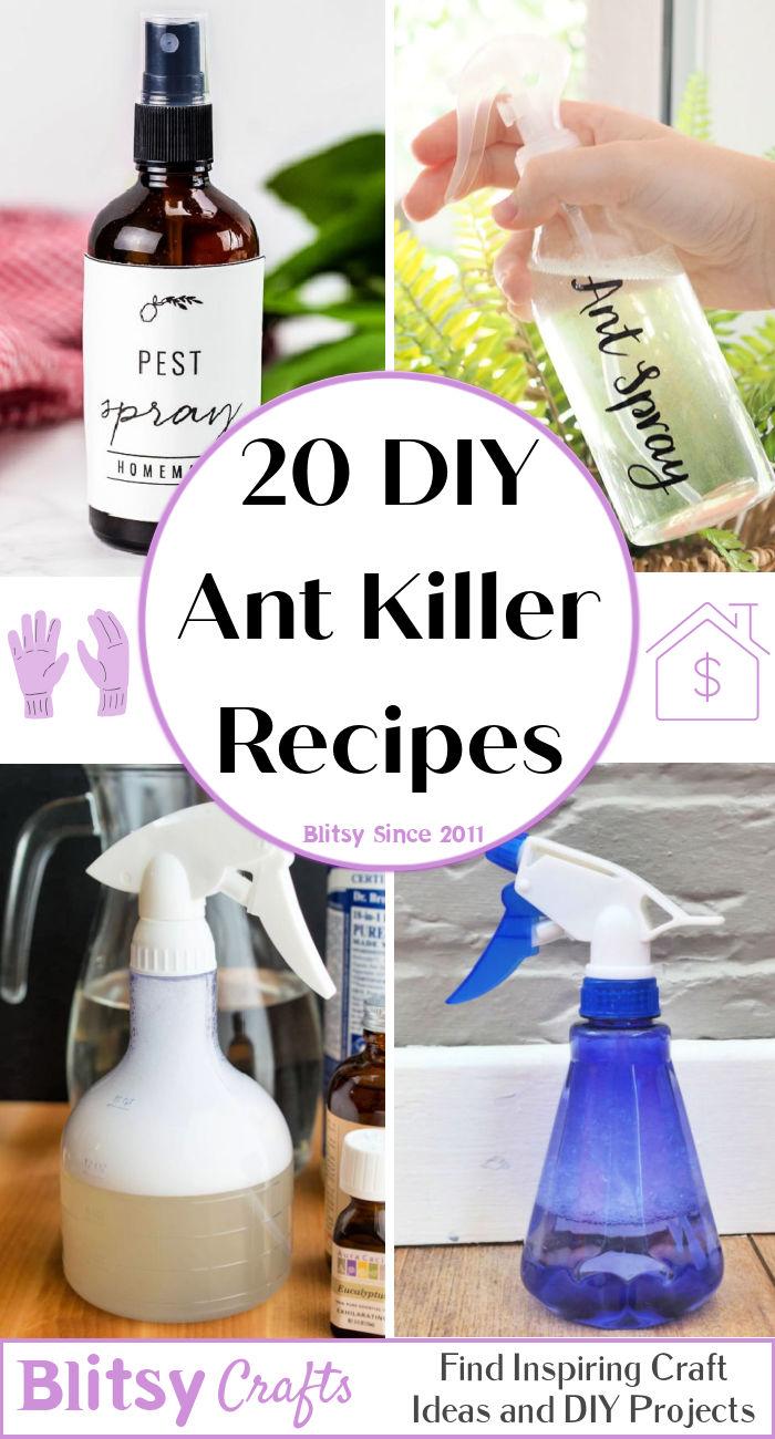 diy ant killer recipes