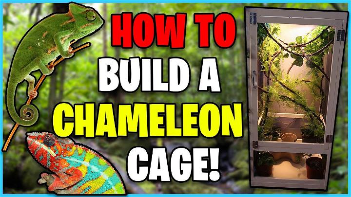 diy chameleon cage