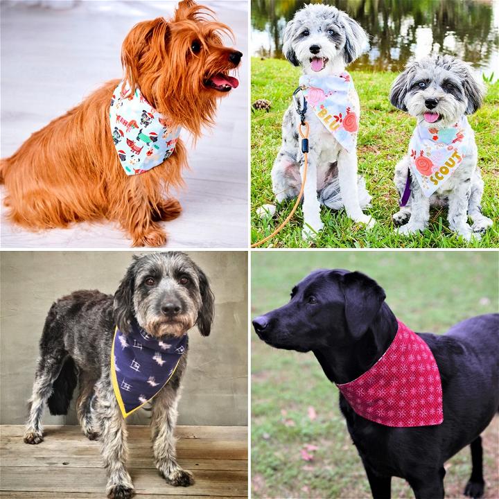 diy dog bandana