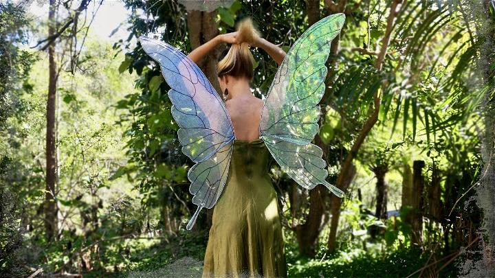 diy fairy wings