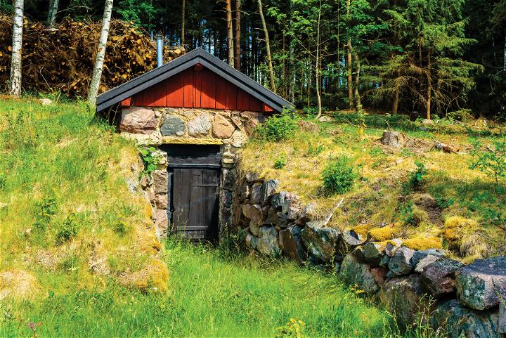 Root cellar