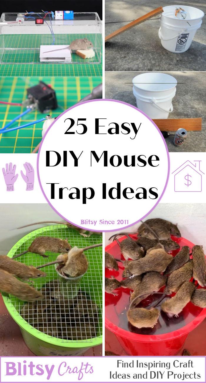 homemade mouse trap ideas