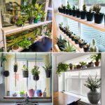 DIY Window Plant Shelf to Elevate Your Indoor Garden