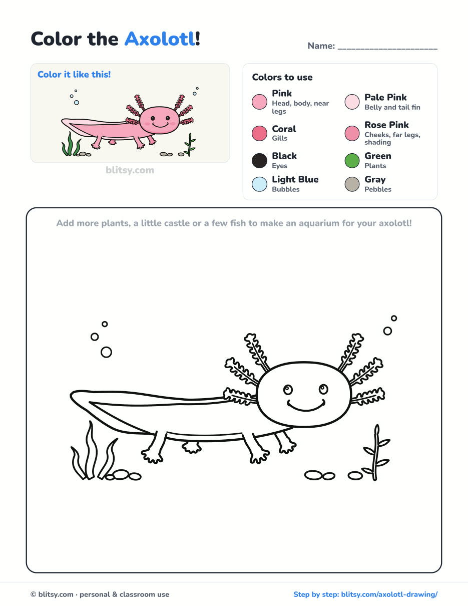 Axolotl coloring page printable with color key - free PDF download