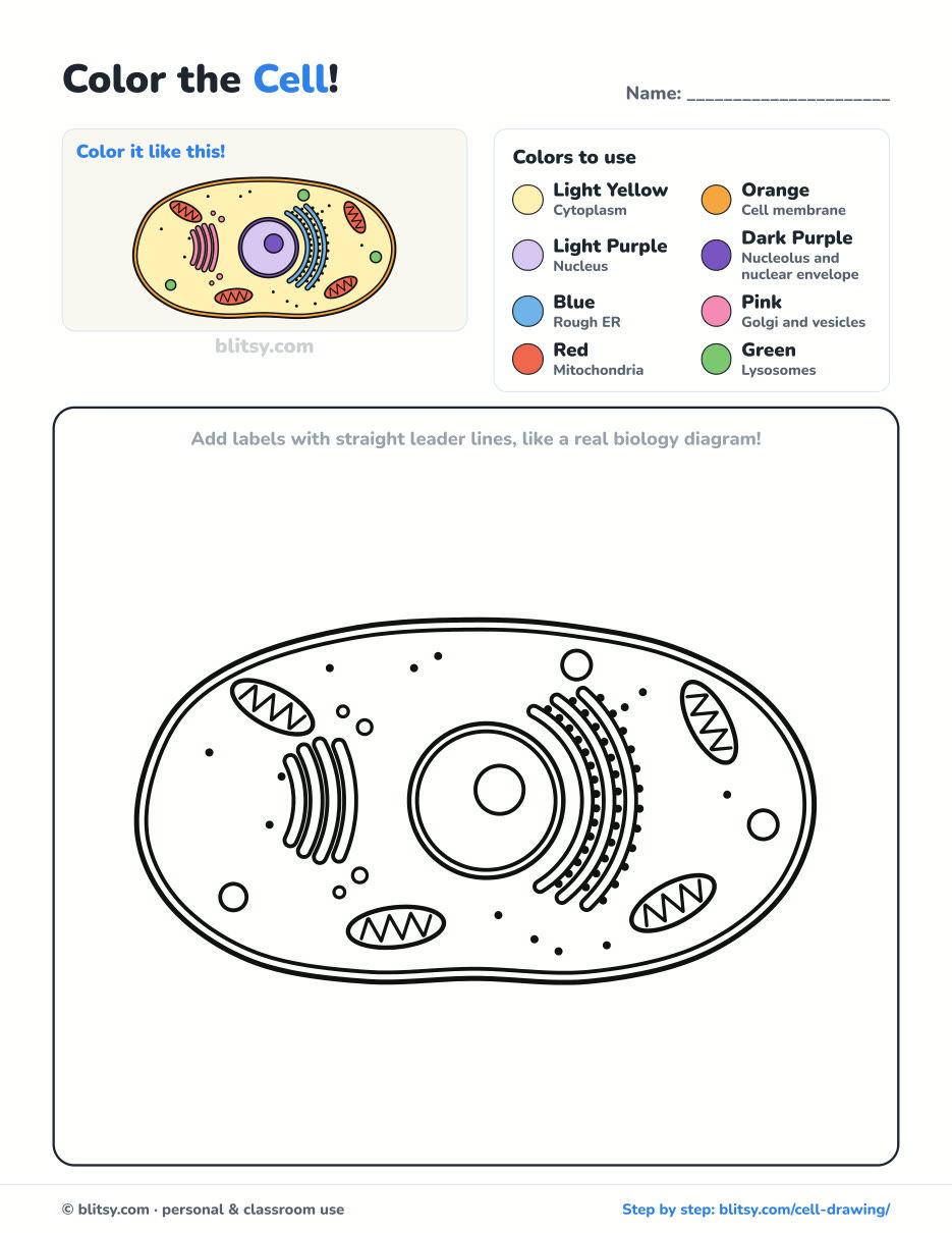 Cell coloring page printable with color key - free PDF download