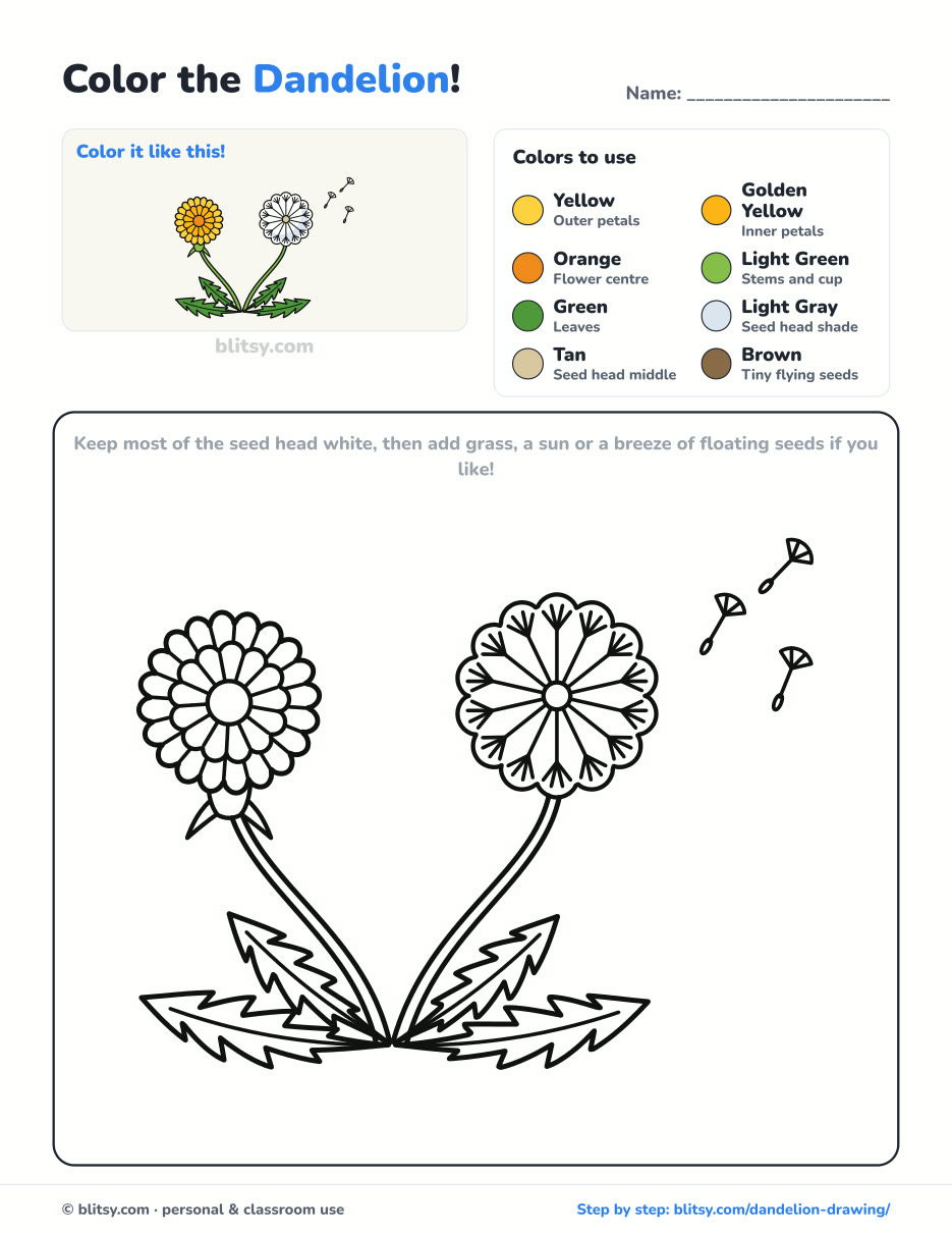 Dandelion coloring page printable with color key - free PDF download