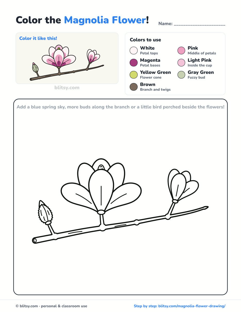 Magnolia coloring page printable with color key - free PDF download