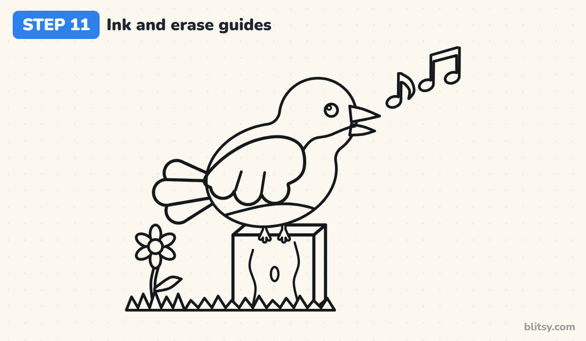 How to draw a bird step by step step 11 - ink your lines and erase the guides