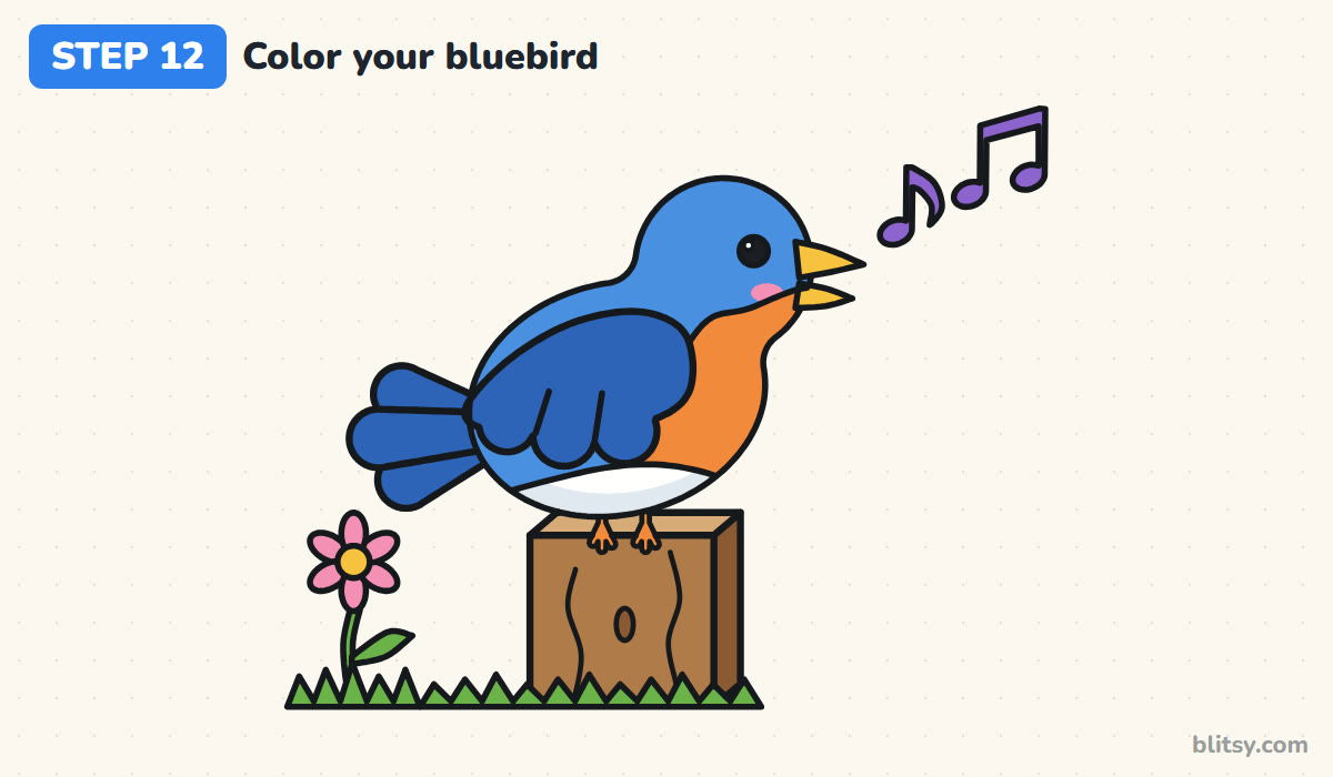 How to draw a bird step by step step 12 - color your bluebird