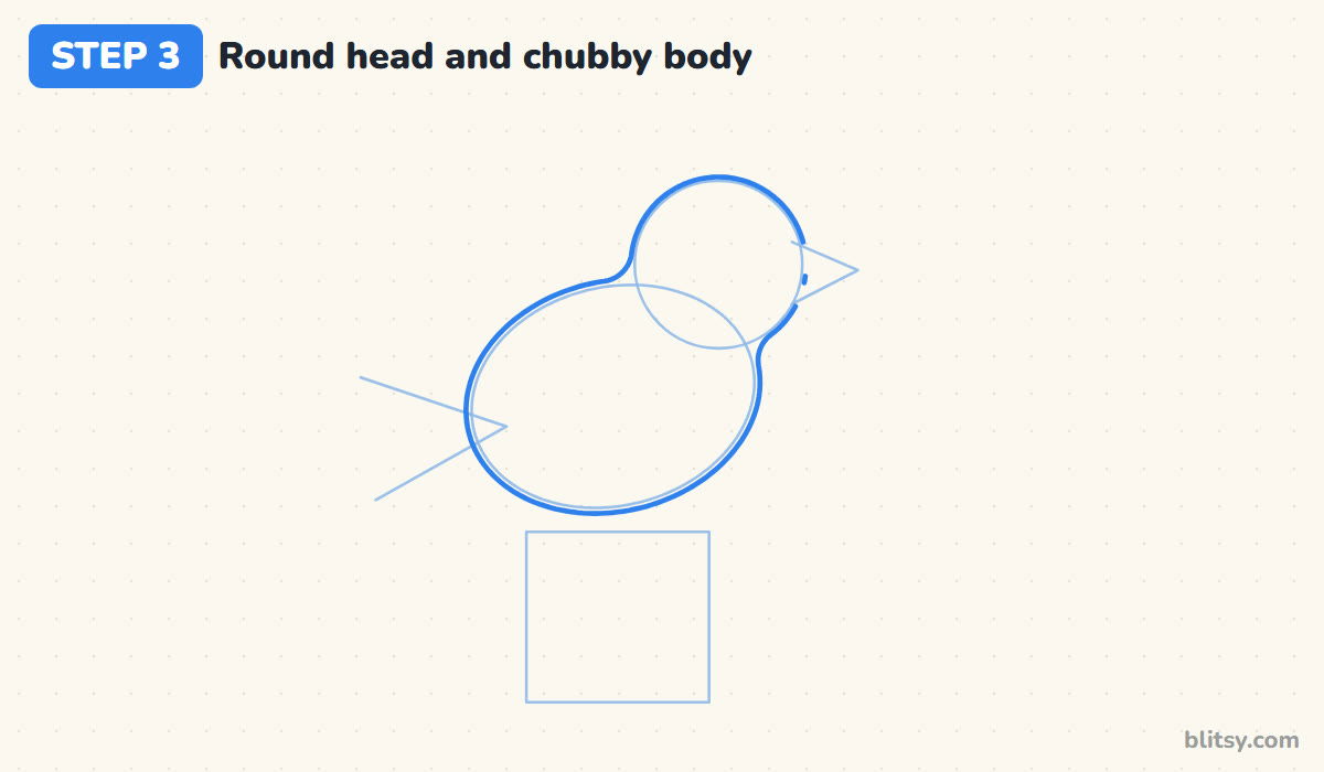 How to draw a bird step by step step 3 - draw the round head and chubby body