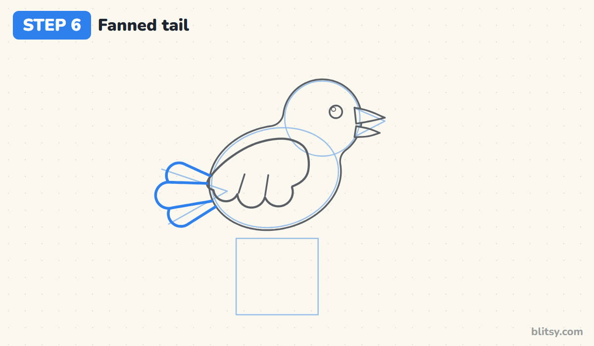 How to draw a bird step by step step 6 - add a fanned tail