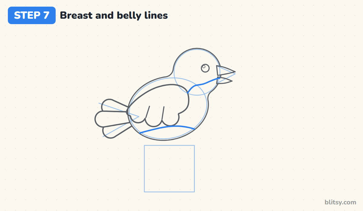 How to draw a bird step by step step 7 - draw the breast and belly lines
