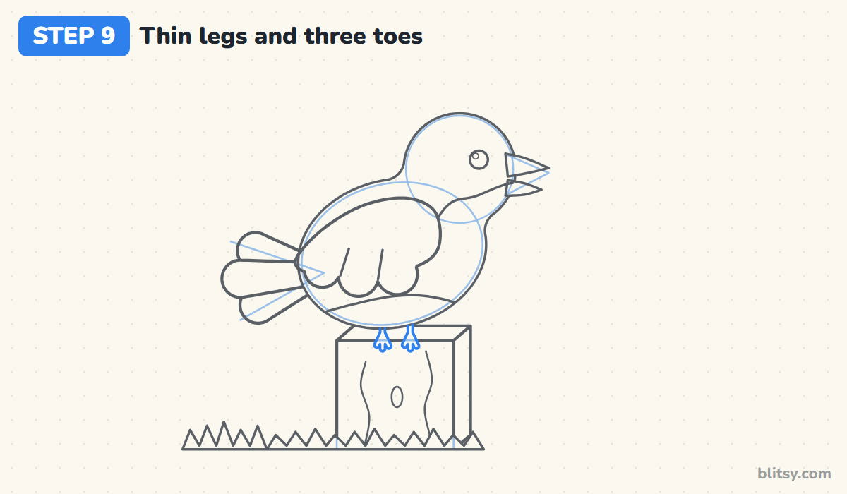 How to draw a bird step by step step 9 - add thin legs and three toes