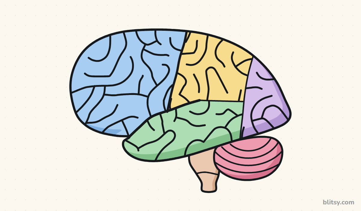 How to draw a brain step by step - finished drawing