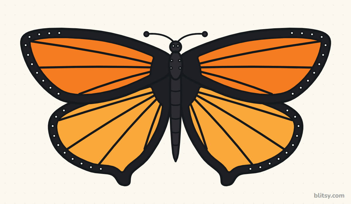 How to draw a butterfly step by step - finished drawing