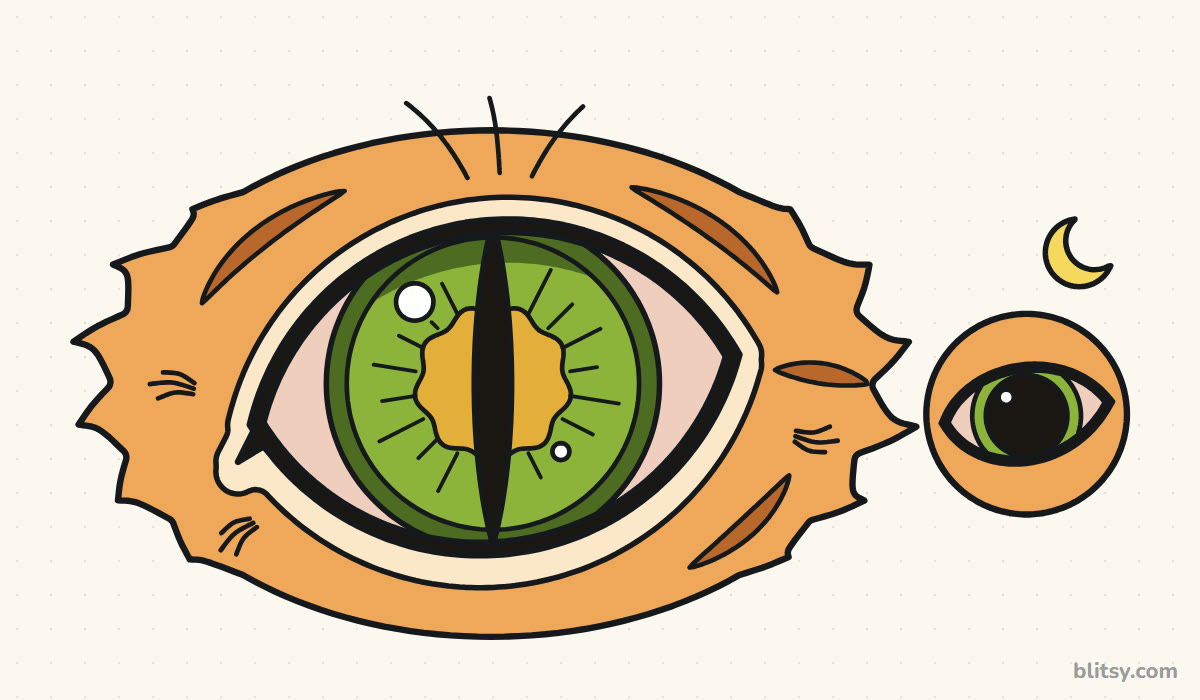 How to draw a cat eye step by step - finished drawing