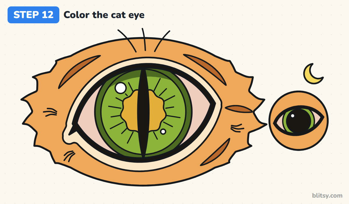 How to draw a cat eye step by step step 12 - color the cat eye
