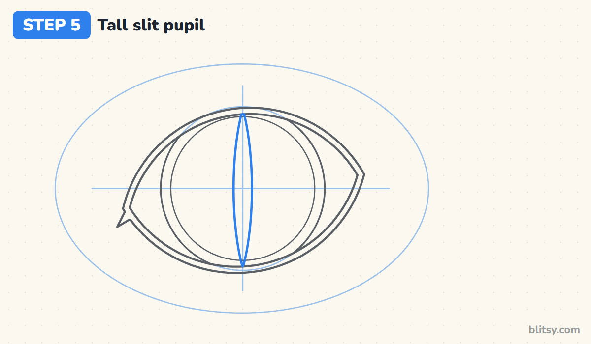 How to draw a cat eye step by step step 5 - draw the tall slit pupil