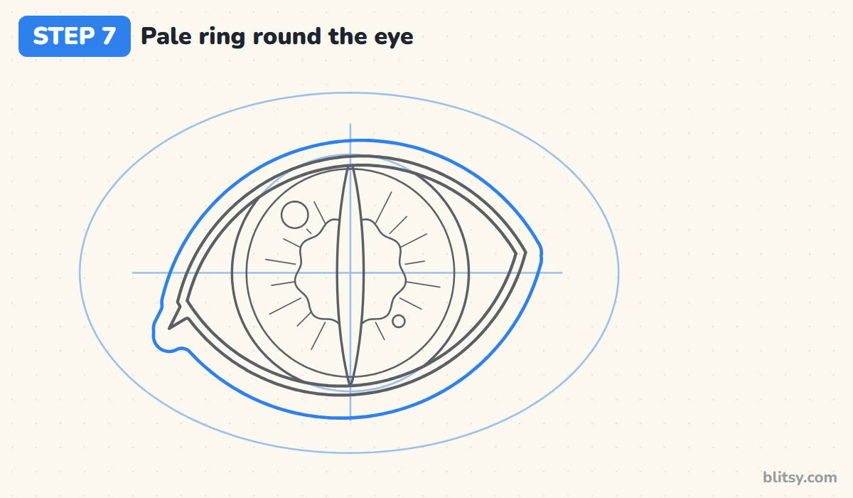 How to draw a cat eye step by step step 7 - draw the pale ring of fur