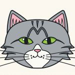 How to Draw a Cat Face Step by Step (Easy Tabby Guide)