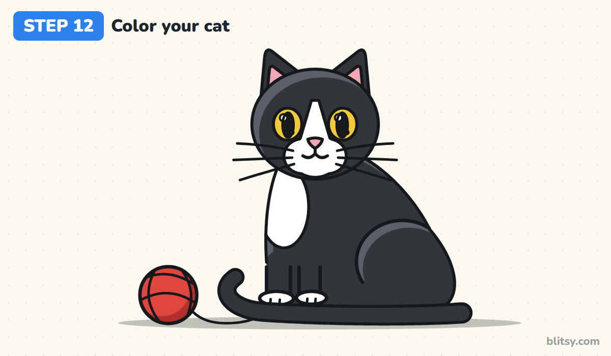 How to draw a cat step by step step 12 - color your tuxedo cat