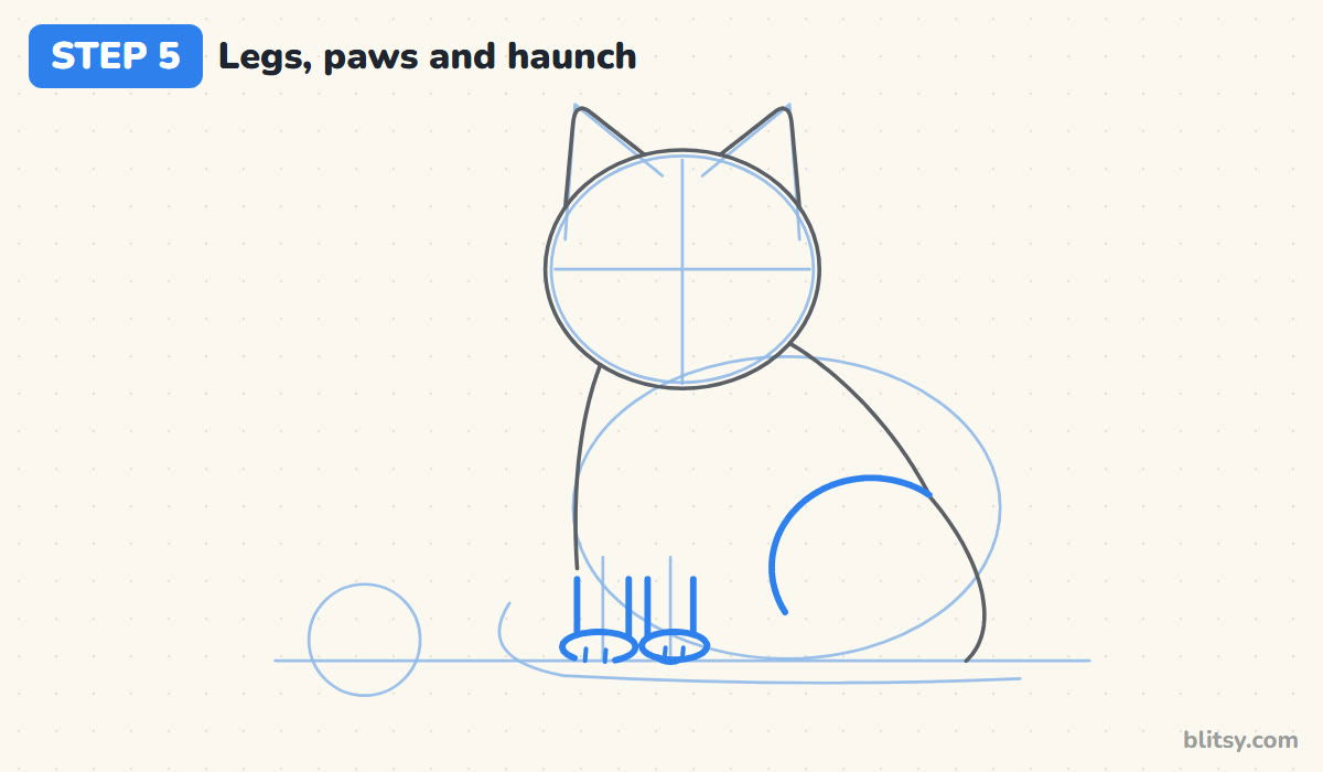 How to draw a cat step by step step 5 - add the legs and the haunch