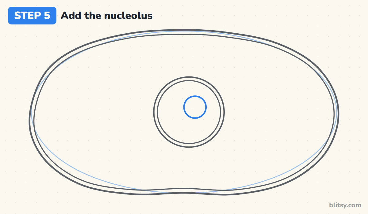 How to draw a cell step by step step 5 - add the nucleolus