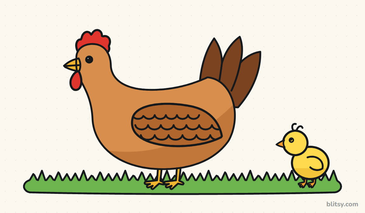 How to draw a chicken step by step - finished drawing