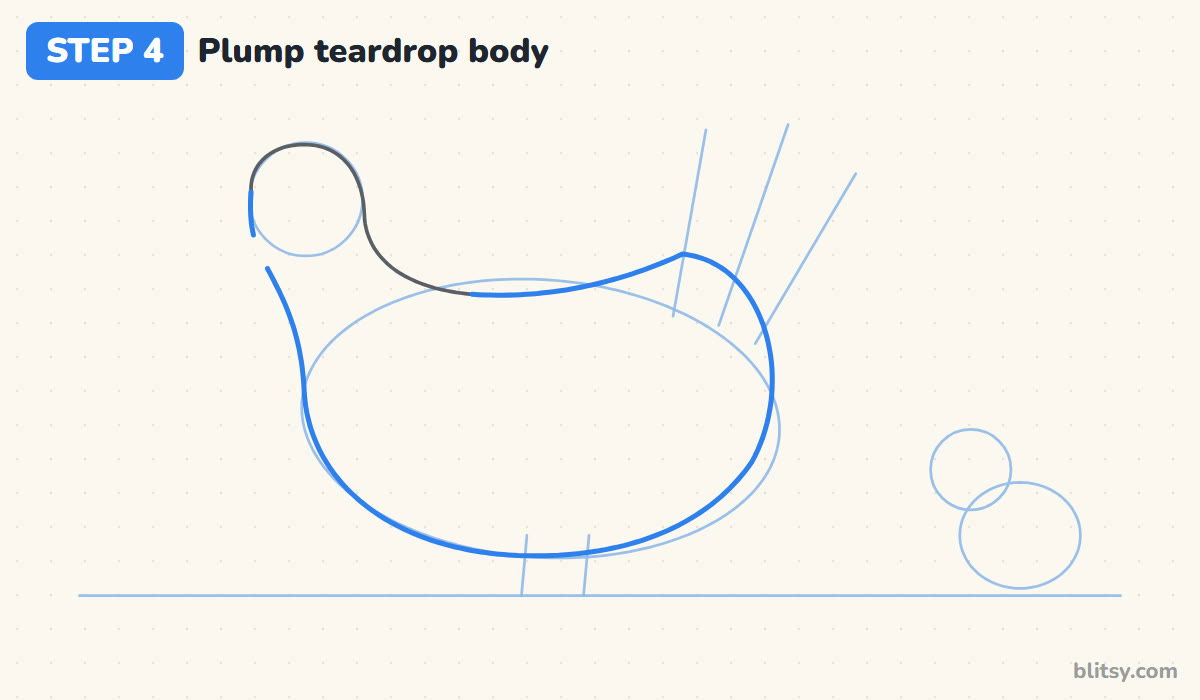 How to draw a chicken step by step step 4 - shape the plump teardrop body