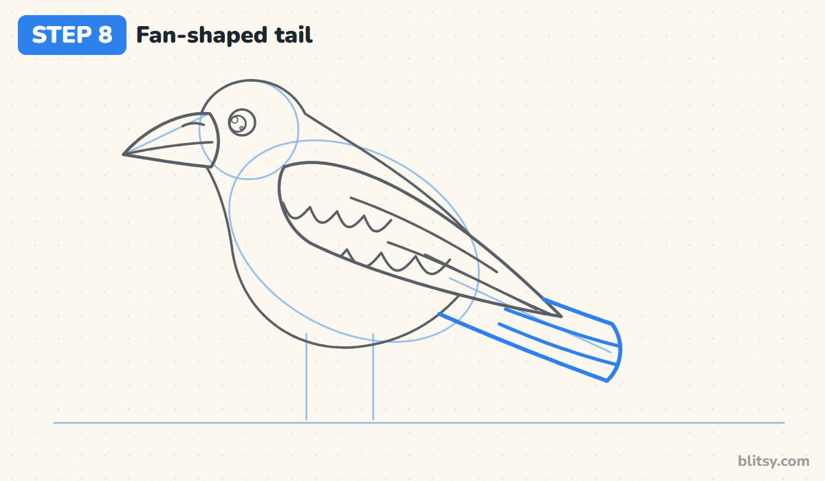 How to draw a crow step by step step 8 - draw the fan-shaped tail