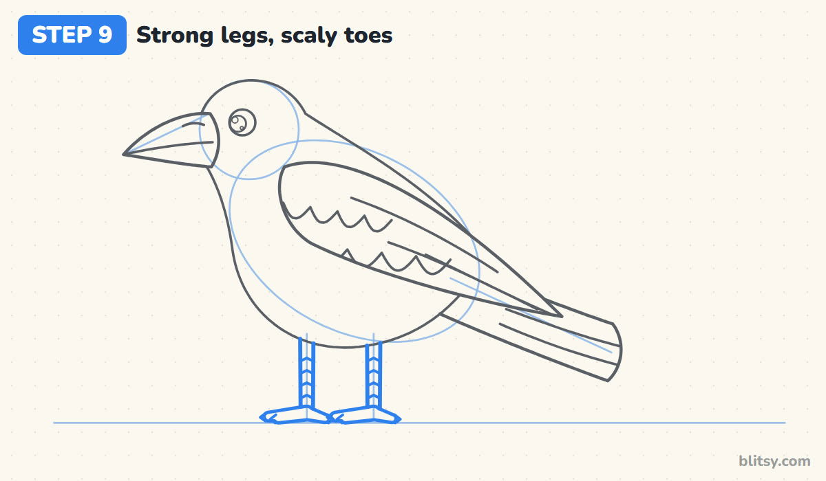 How to draw a crow step by step step 9 - draw strong legs and scaly toes