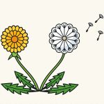 How to Draw a Dandelion Step by Step (Flower + Seed Head)