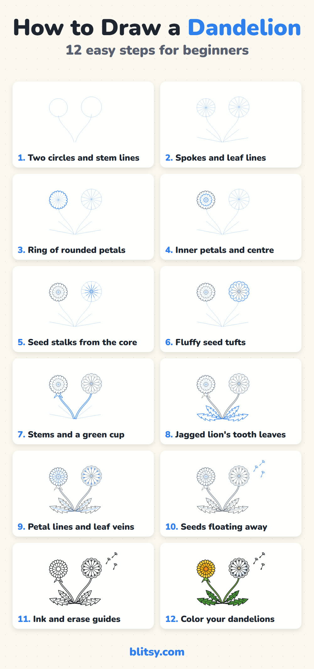 How to draw a dandelion step by step - all 12 steps on one page (Pinterest)