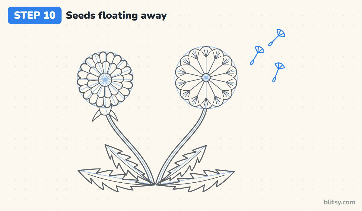 How to draw a dandelion step by step step 10 - draw seeds floating away