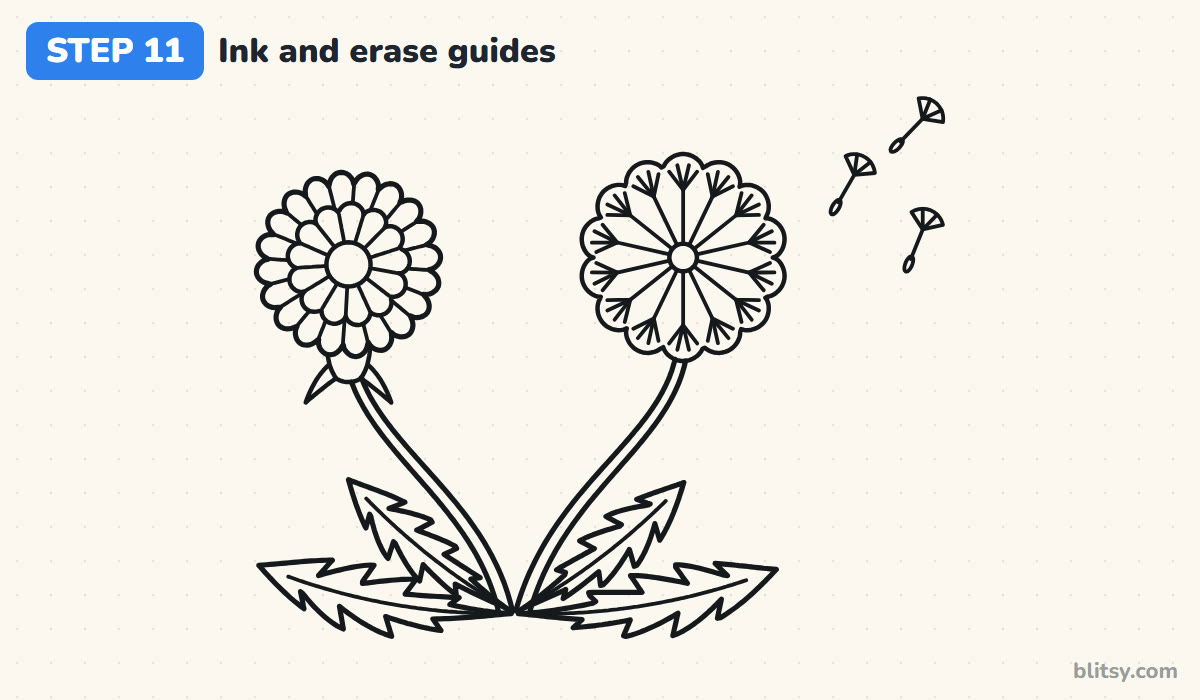 How to draw a dandelion step by step step 11 - ink the drawing and erase the guides
