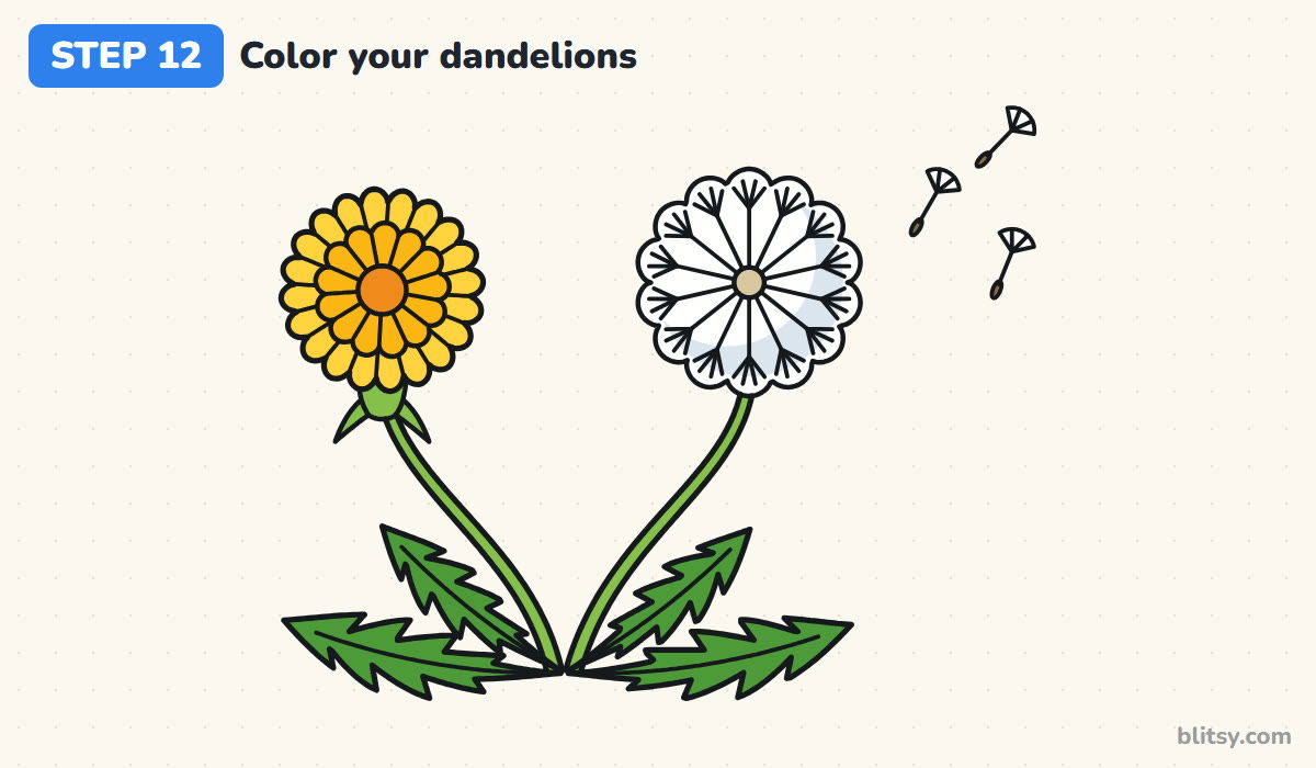 How to draw a dandelion step by step step 12 - color your dandelions