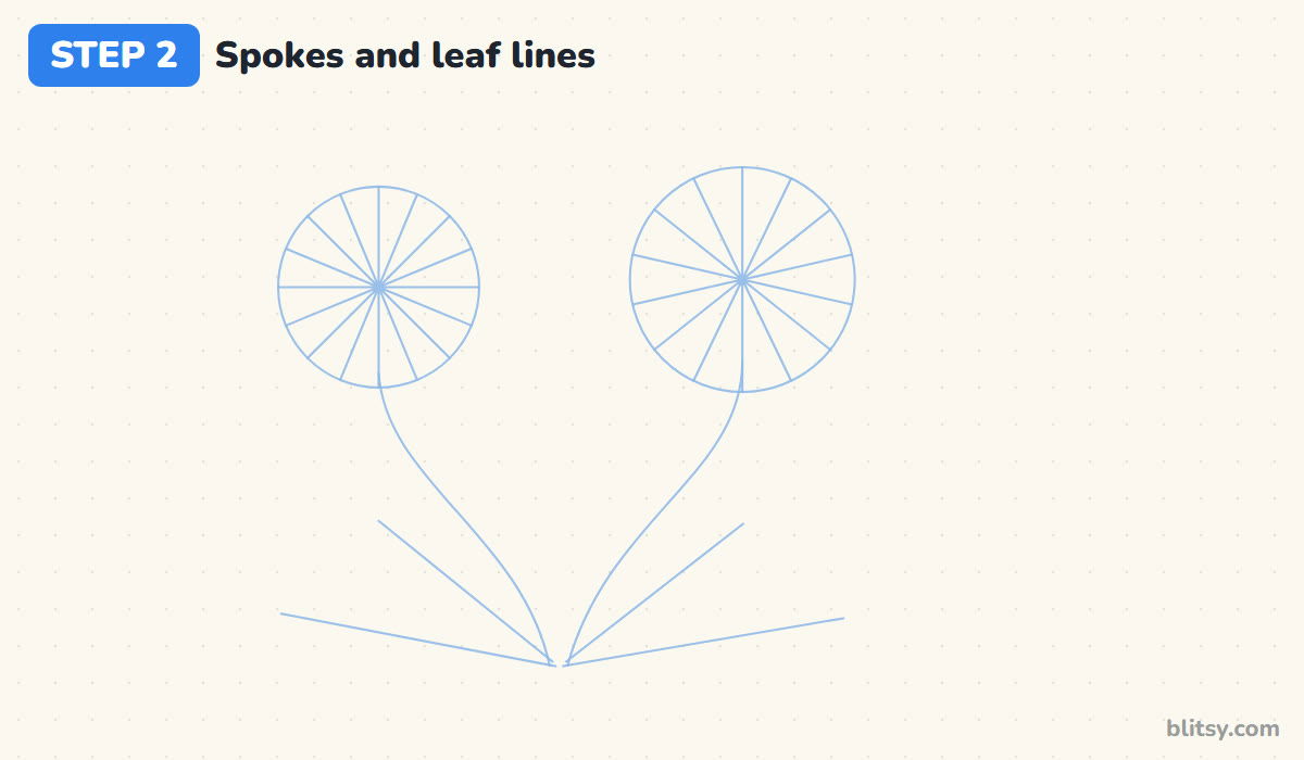 How to draw a dandelion step by step step 2 - add spokes and leaf lines