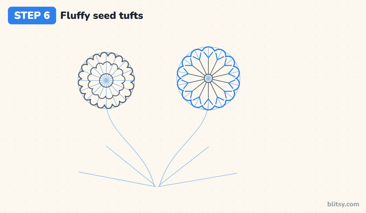 How to draw a dandelion step by step step 6 - give each seed a fluffy tuft