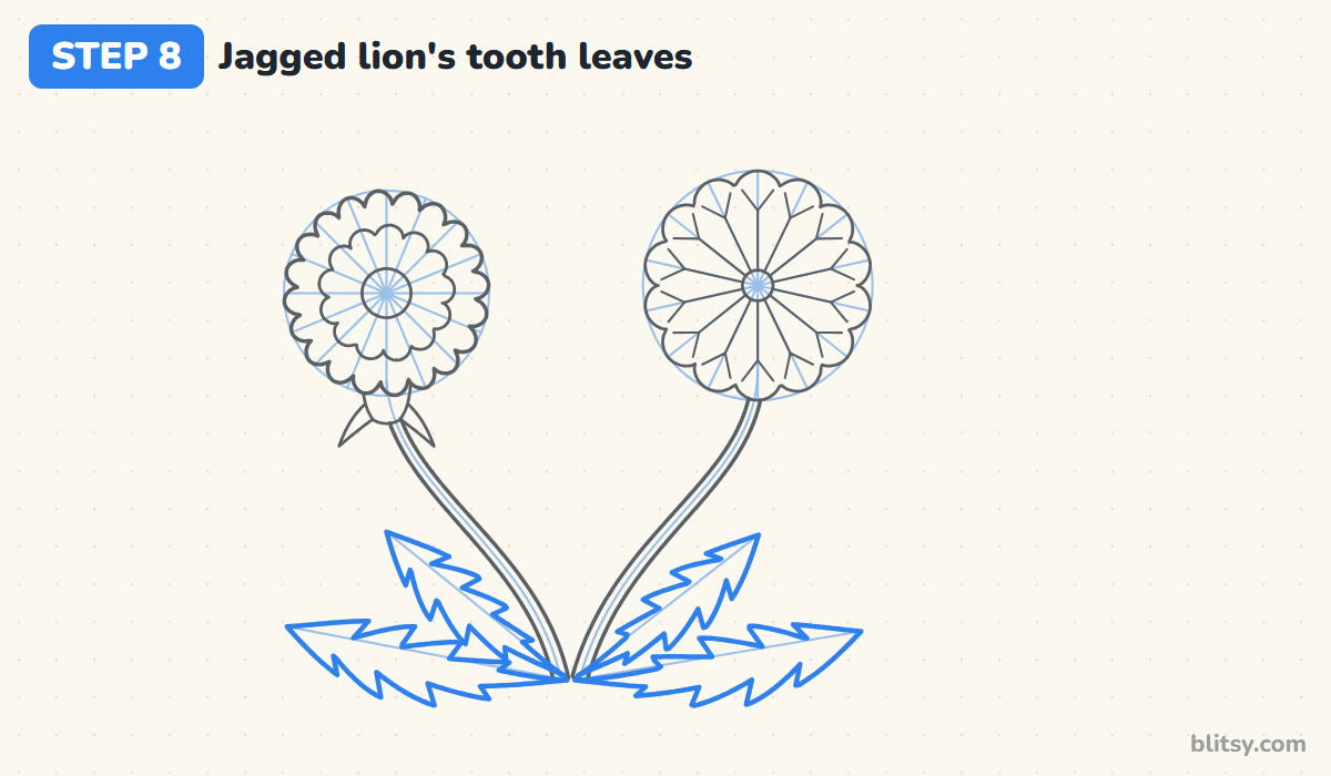 How to draw a dandelion step by step step 8 - draw the jagged lion's tooth leaves