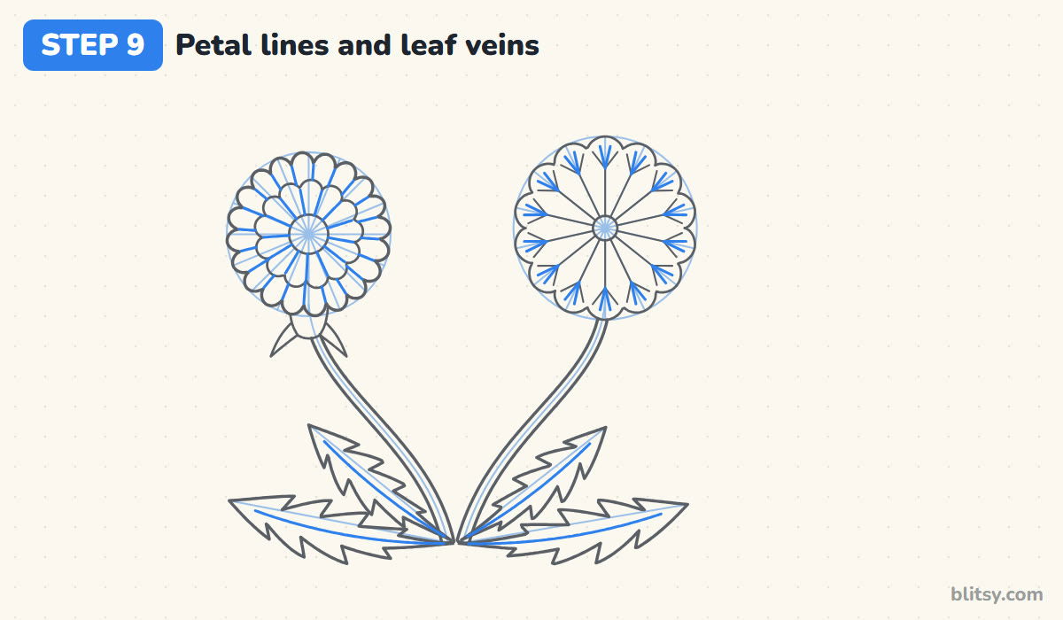 How to draw a dandelion step by step step 9 - add petal lines and leaf veins