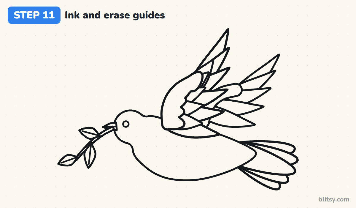 How to draw a dove step by step step 11 - ink the lines and erase the guides
