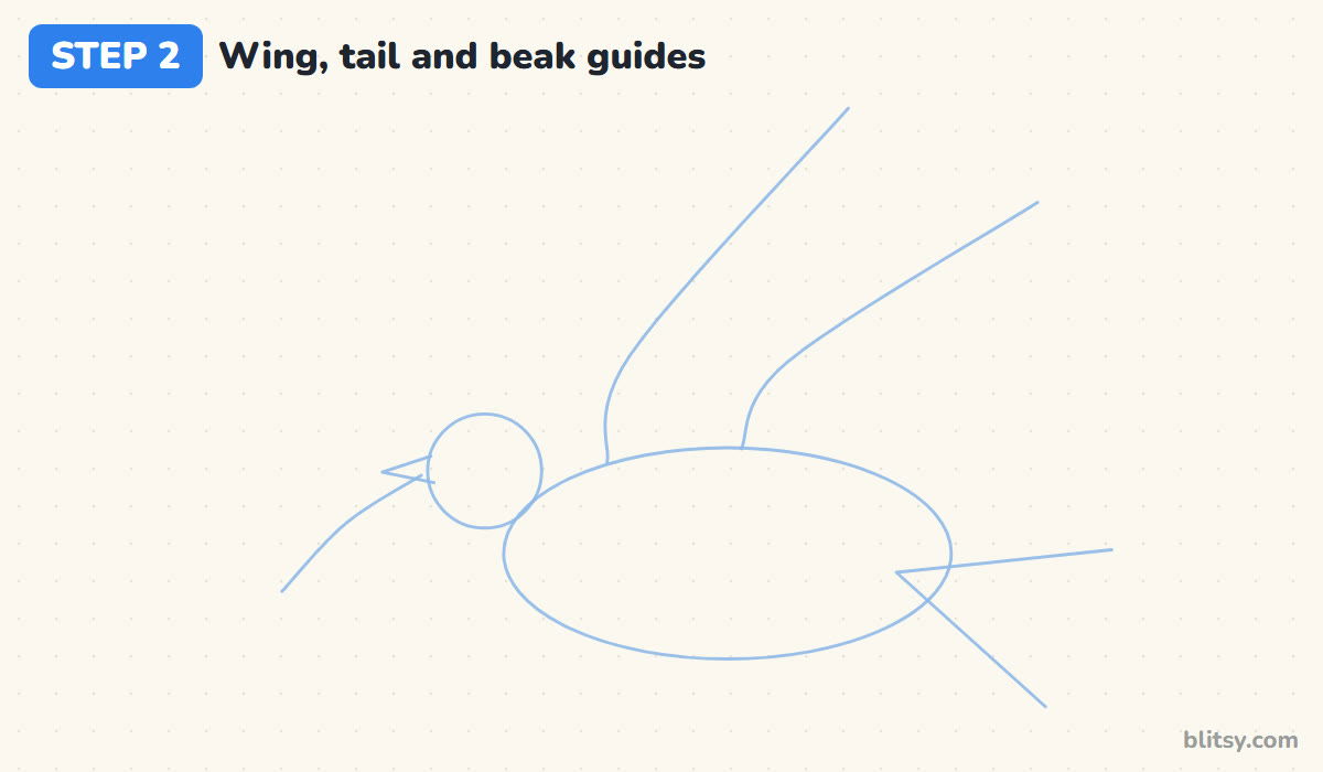How to draw a dove step by step step 2 - add guides for the wings, tail and beak