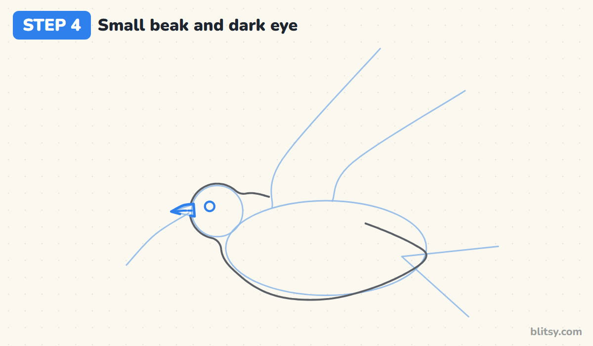 How to draw a dove step by step step 4 - add the small beak and the eye