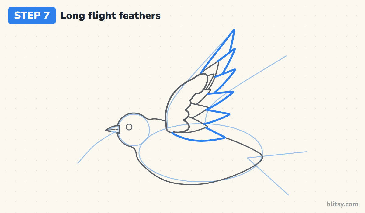 How to draw a dove step by step step 7 - draw the long flight feathers