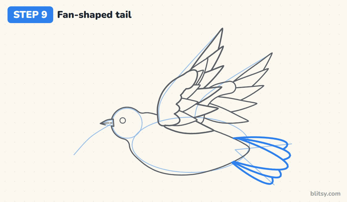 How to draw a dove step by step step 9 - add the fan-shaped tail