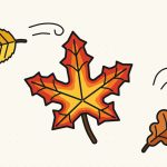 How to Draw a Fall Leaf Step by Step (Maple, Oak and Birch)