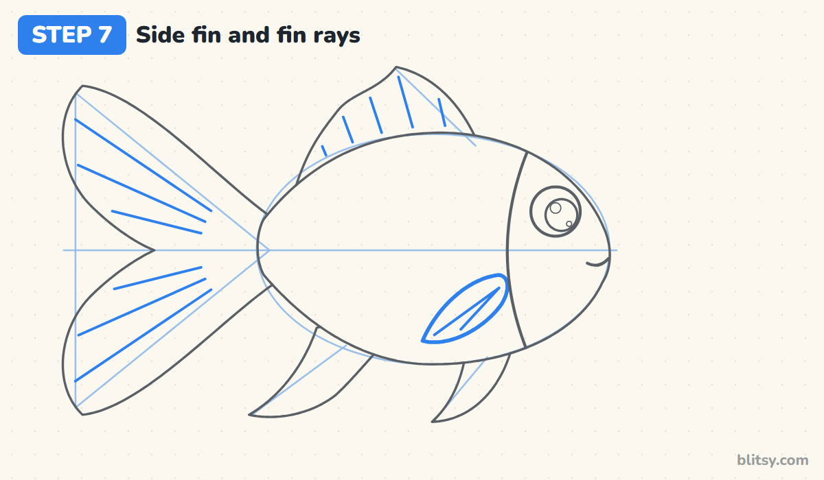 How to draw a fish step by step step 7 - add the side fin and fin rays