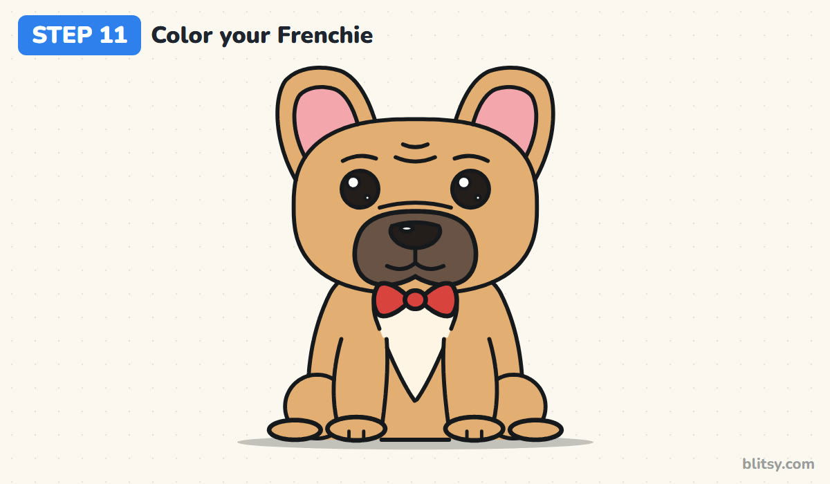 How to draw a french bulldog step by step step 11 - color your french bulldog